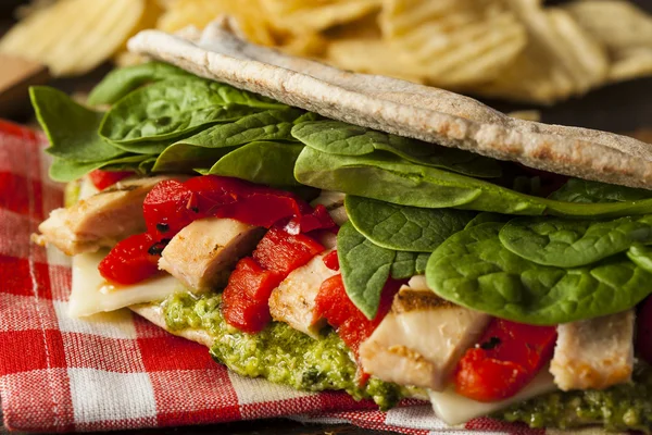 Sağlıklı ızgara tavuk pesto gözleme — Stok fotoğraf