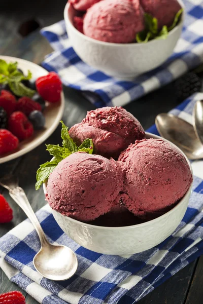 Hembakade ekologiska berry sorbet glass — Stockfoto