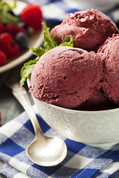 Homemade Organic Berry Sorbet Ice Cream — Stock Photo, Image