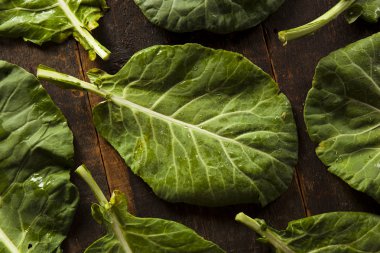 grafiska bilder i byggnader och inom transportsektorn