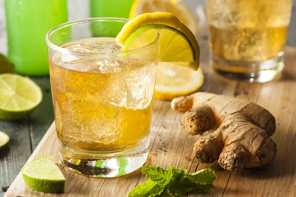 Organic Ginger Ale Soda — Stock Photo, Image