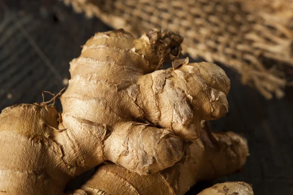 Raw Organic Ginger Root — Stock Photo, Image