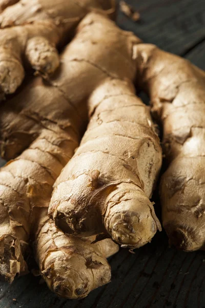 Raw Organic Ginger Root — Stock Photo, Image