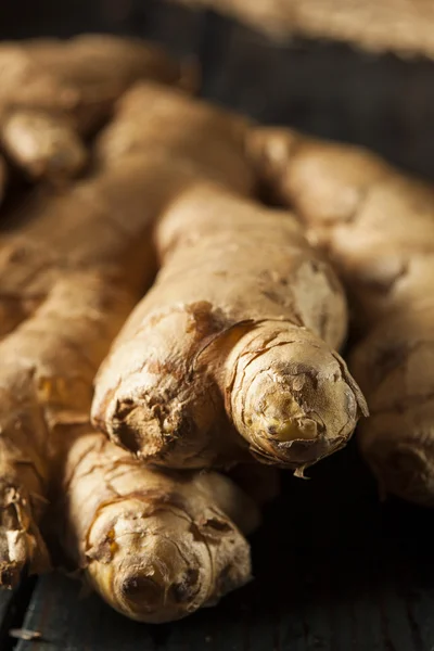 Raw Organic Ginger Root — Stock Photo, Image