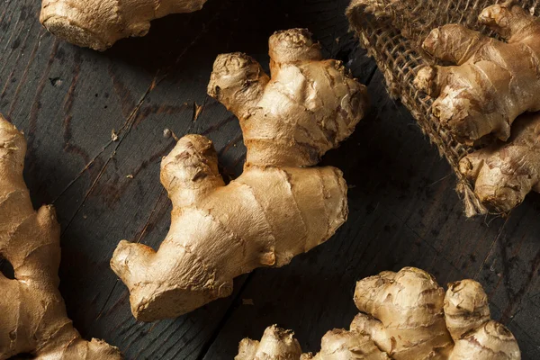 Raw Organic Ginger Root — Stock Photo, Image