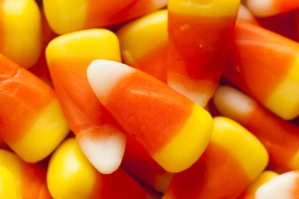 Farbenfroher Zuckermais zu Halloween — Stockfoto