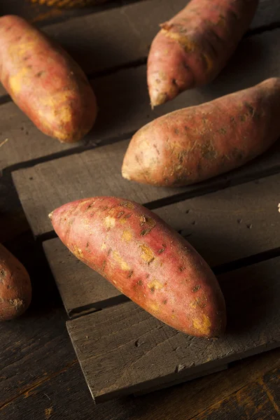 有机原料的甜土豆 — 图库照片