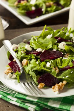 원시 녹색 사탕 무 우와 arugula 샐러드
