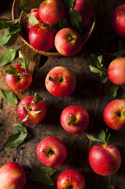 ham organik kırmızı gala elma