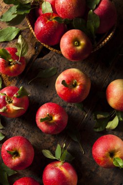 ham organik kırmızı gala elma