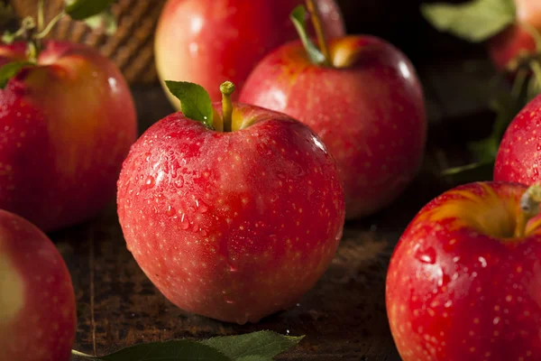 Raw Organic Red Gala Apples — Stock Photo, Image