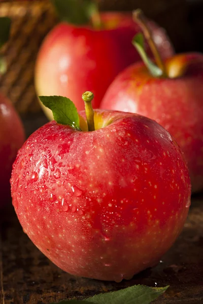 Raw Organic Red Gala Apples