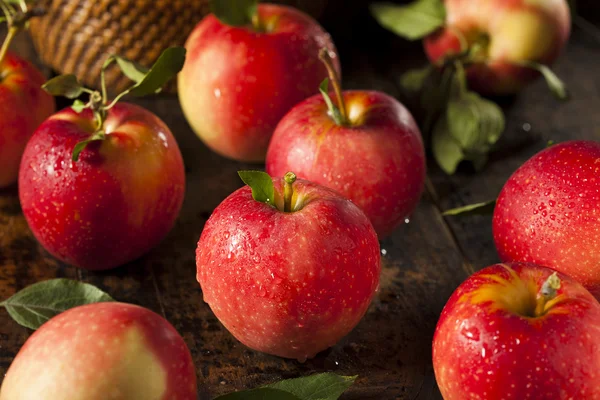 Pommes de gala rouges biologiques crues — Photo