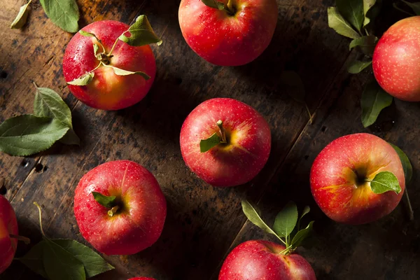 Manzanas rojas orgánicas crudas de la gala — Foto de Stock