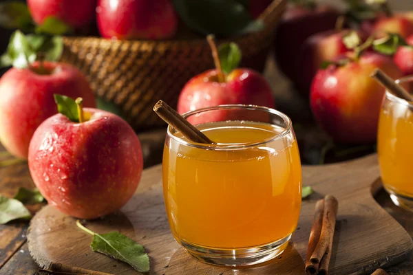 Cider de maçã orgânica com canela — Fotografia de Stock