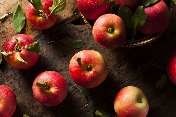 Manzanas rojas orgánicas crudas de la gala — Foto de Stock