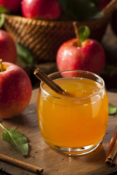 Sidro di mele biologico con cannella — Foto Stock
