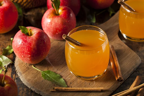 Organic Apple Cider with Cinnamon — Stock Photo, Image