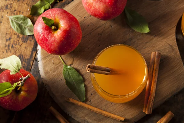 Organic Apple Cider with Cinnamon — Stock Photo, Image