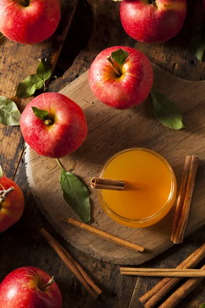 Organic Apple Cider with Cinnamon — Stock Photo, Image