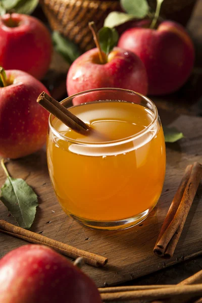 Organische appel cider met kaneel — Stockfoto