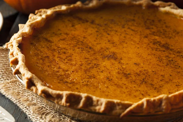 Thanksigiving için ev yapımı kabak pasta — Stok fotoğraf