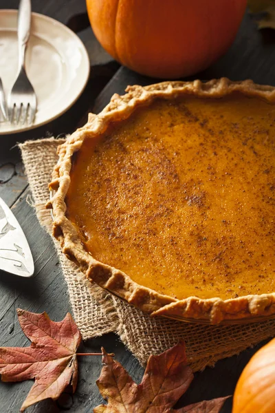 Tarte à la citrouille maison pour Thanksigiving — Photo