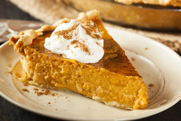 Pastel de calabaza casero para Acción de Gracias — Foto de Stock