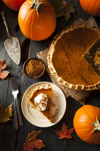 Pastel de calabaza casero para Acción de Gracias — Foto de Stock