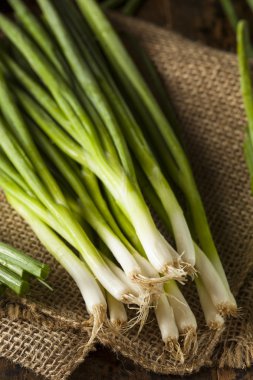 Organik sağlıklı yeşil soğan