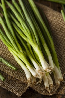 Organik sağlıklı yeşil soğan