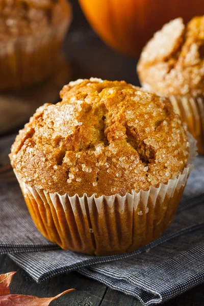 Domowe jesień dyni muffin — Zdjęcie stockowe