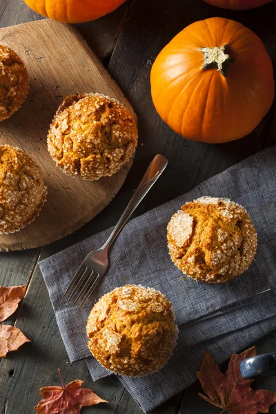 Zelfgemaakte herfst pompoen muffin — Stockfoto