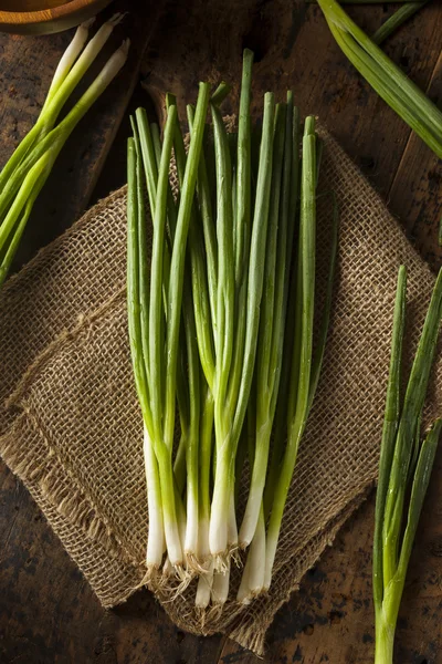 Organic Healthy Green Onion — Stock Photo, Image