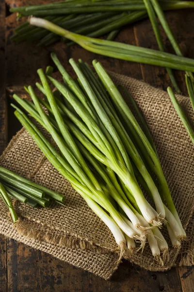 Cebola verde saudável orgânica — Fotografia de Stock