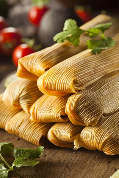 Domácí kukuřice a kuřecí tamales — Stock fotografie