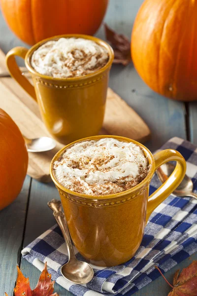 Latte de especias de calabaza de otoño — Foto de Stock