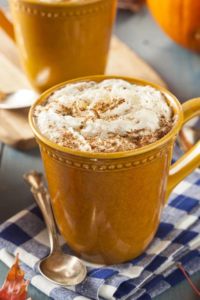 Latte de especias de calabaza de otoño — Foto de Stock