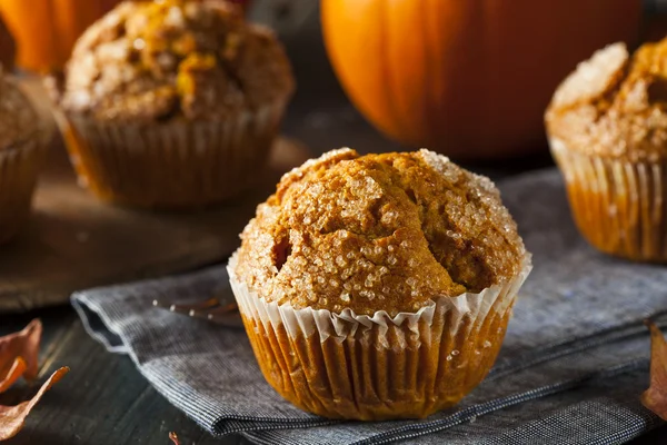 Hausgemachter Herbst-Kürbis-Muffin — Stockfoto