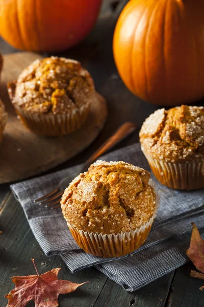 Domowe jesień dyni muffin — Zdjęcie stockowe