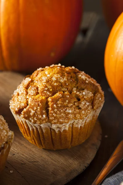 Zelfgemaakte herfst pompoen muffin — Stockfoto