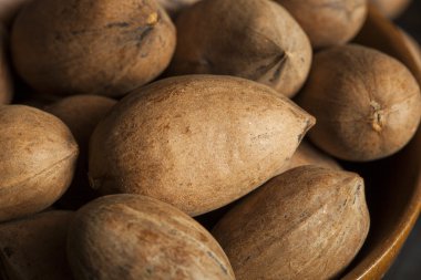 ham organik bütün pecans