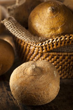 ham organik kahverengi jicama