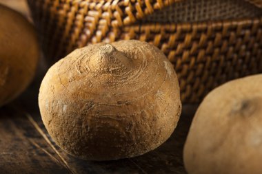 ham organik kahverengi jicama