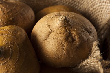 ham organik kahverengi jicama