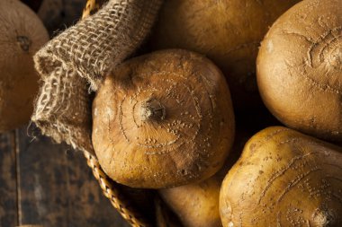 ham organik kahverengi jicama