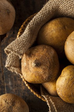 ham organik kahverengi jicama