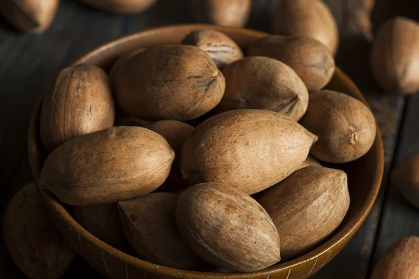 Ruwe organische gehele pecannoten — Stockfoto