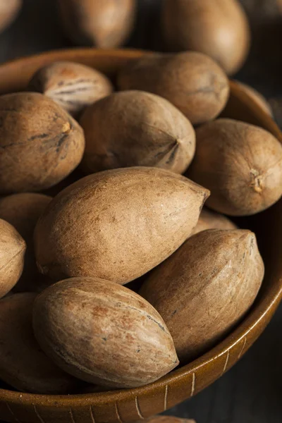 Raw Organic Whole Pecans — Stock Photo, Image