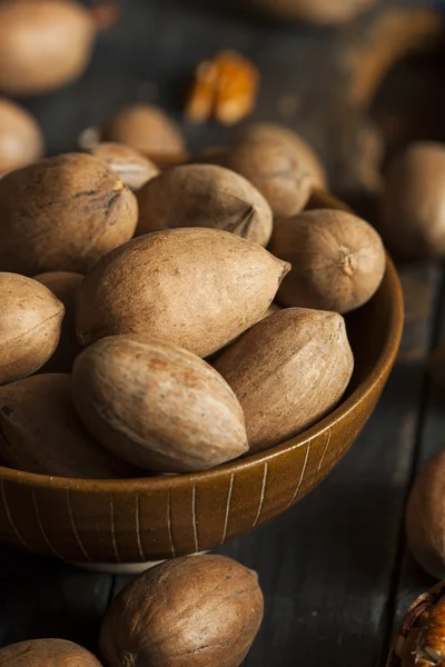 Pecan integrali crudi biologici — Foto Stock